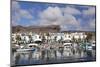 Fishing Boats at the Old Port of Puerto De Mogan-Markus Lange-Mounted Photographic Print