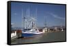 Fishing Boats, East Basin Moorage, Columbia River, Astoria, Oregon, USA-Jamie & Judy Wild-Framed Stretched Canvas