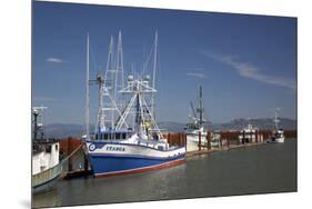 Fishing Boats, East Basin Moorage, Columbia River, Astoria, Oregon, USA-Jamie & Judy Wild-Mounted Photographic Print