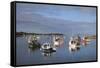 Fishing Boats, Harbor, Chatham, Cape Cod, Massachusetts, New England, Usa-Wendy Connett-Framed Stretched Canvas