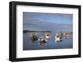 Fishing Boats, Harbor, Chatham, Cape Cod, Massachusetts, New England, Usa-Wendy Connett-Framed Photographic Print