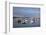 Fishing Boats, Harbor, Chatham, Cape Cod, Massachusetts, New England, Usa-Wendy Connett-Framed Photographic Print