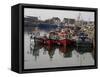 Fishing Boats, Howth Harbour, County Dublin, Republic Ireland, Europe-David Lomax-Framed Stretched Canvas