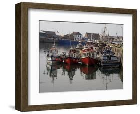 Fishing Boats, Howth Harbour, County Dublin, Republic Ireland, Europe-David Lomax-Framed Photographic Print