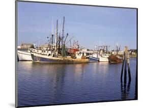 Fishing Boats, Hyannis Port, Cape Cod, Massachusetts, New England, USA-Walter Rawlings-Mounted Photographic Print