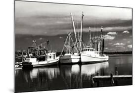 Fishing Boats II-Alan Hausenflock-Mounted Photographic Print