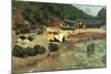 Fishing Boats in Capri-Albert Bierstadt-Mounted Premium Giclee Print