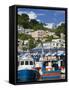 Fishing Boats in Carenage Harbour, St. George's, Grenada, Windward Islands, West Indies-Richard Cummins-Framed Stretched Canvas