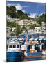 Fishing Boats in Carenage Harbour, St. George's, Grenada, Windward Islands, West Indies-Richard Cummins-Mounted Photographic Print