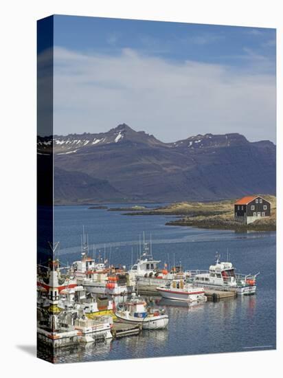 Fishing Boats in Djupivogur Harbour, East Area, Iceland, Polar Regions-Neale Clarke-Stretched Canvas