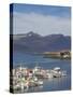 Fishing Boats in Djupivogur Harbour, East Area, Iceland, Polar Regions-Neale Clarke-Stretched Canvas