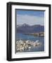 Fishing Boats in Djupivogur Harbour, East Area, Iceland, Polar Regions-Neale Clarke-Framed Photographic Print