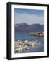 Fishing Boats in Djupivogur Harbour, East Area, Iceland, Polar Regions-Neale Clarke-Framed Photographic Print