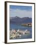 Fishing Boats in Djupivogur Harbour, East Area, Iceland, Polar Regions-Neale Clarke-Framed Photographic Print