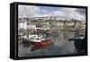 Fishing Boats in Fishing Harbour, Mevagissey, Cornwall, England, United Kingdom, Europe-Stuart Black-Framed Stretched Canvas
