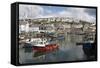 Fishing Boats in Fishing Harbour, Mevagissey, Cornwall, England, United Kingdom, Europe-Stuart Black-Framed Stretched Canvas