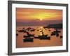 Fishing Boats in Harbour, Finisterre, Galicia, Spain, Europe-Ken Gillham-Framed Photographic Print