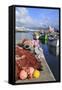 Fishing Boats in Harbour, Ponta Delgada Port, Sao Miguel Island, Azores, Portugal, Atlantic, Europe-Richard Cummins-Framed Stretched Canvas