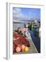 Fishing Boats in Harbour, Ponta Delgada Port, Sao Miguel Island, Azores, Portugal, Atlantic, Europe-Richard Cummins-Framed Photographic Print