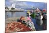 Fishing Boats in Harbour, Ponta Delgada Port, Sao Miguel Island, Azores, Portugal, Atlantic, Europe-Richard Cummins-Mounted Photographic Print
