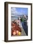 Fishing Boats in Harbour, Ponta Delgada Port, Sao Miguel Island, Azores, Portugal, Atlantic, Europe-Richard Cummins-Framed Photographic Print