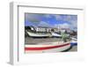 Fishing Boats in Harbour, Ponta Delgada Port, Sao Miguel Island, Azores, Portugal, Atlantic, Europe-Richard Cummins-Framed Photographic Print