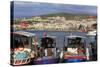 Fishing Boats in Kusadasi, Aydin Province, Anatolia, Turkey, Asia Minor, Eurasia-Richard Cummins-Stretched Canvas