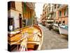 Fishing Boats in Manarola, Cinque Terre, Tuscany, Italy-Richard Duval-Stretched Canvas