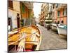 Fishing Boats in Manarola, Cinque Terre, Tuscany, Italy-Richard Duval-Mounted Photographic Print