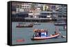 Fishing Boats in Pattaya City, Thailand, Southeast Asia, Asia-Richard Cummins-Framed Stretched Canvas