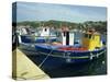 Fishing Boats in Port at Santa Teresa Di Gallura on the Island of Sardinia, Italy, Mediterranean-Terry Sheila-Stretched Canvas