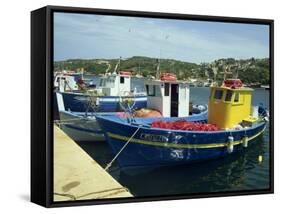 Fishing Boats in Port at Santa Teresa Di Gallura on the Island of Sardinia, Italy, Mediterranean-Terry Sheila-Framed Stretched Canvas