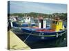 Fishing Boats in Port at Santa Teresa Di Gallura on the Island of Sardinia, Italy, Mediterranean-Terry Sheila-Stretched Canvas