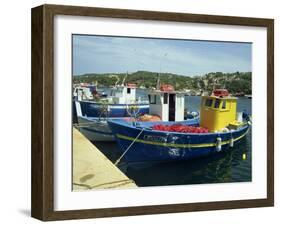 Fishing Boats in Port at Santa Teresa Di Gallura on the Island of Sardinia, Italy, Mediterranean-Terry Sheila-Framed Photographic Print