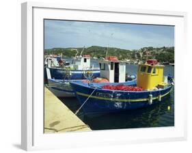 Fishing Boats in Port at Santa Teresa Di Gallura on the Island of Sardinia, Italy, Mediterranean-Terry Sheila-Framed Photographic Print