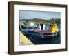 Fishing Boats in Port at Santa Teresa Di Gallura on the Island of Sardinia, Italy, Mediterranean-Terry Sheila-Framed Photographic Print