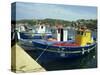 Fishing Boats in Port at Santa Teresa Di Gallura on the Island of Sardinia, Italy, Mediterranean-Terry Sheila-Stretched Canvas