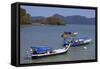 Fishing Boats in Porto Malai, Chenang City, Langkawi Island, Malaysia, Southeast Asia, Asia-Richard Cummins-Framed Stretched Canvas