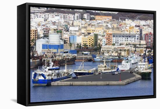 Fishing Boats in Santa Catalina Port-Richard Cummins-Framed Stretched Canvas