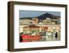 Fishing Boats in Santa Catalina Port-Richard Cummins-Framed Photographic Print