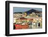 Fishing Boats in Santa Catalina Port-Richard Cummins-Framed Photographic Print