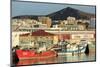 Fishing Boats in Santa Catalina Port-Richard Cummins-Mounted Photographic Print