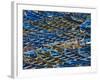 Fishing Boats in the Coastal City of Essaouira, Morocco, North Africa, Africa-null-Framed Photographic Print