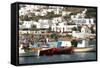 Fishing Boats in the Harbor of Chora, Mykonos, Greece-David Noyes-Framed Stretched Canvas