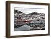Fishing Boats in the Harbour at Skjervoy, Troms, Norway, Scandinavia, Europe-David Lomax-Framed Photographic Print