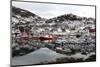 Fishing Boats in the Harbour at Skjervoy, Troms, Norway, Scandinavia, Europe-David Lomax-Mounted Photographic Print