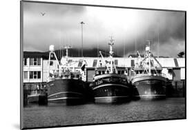 Fishing Boats in the Harbour, Castletownberehaven, Beara Peninsula, County Cork, Ireland-null-Mounted Photographic Print