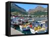 Fishing Boats in the Harbour, Plakias, Crete, Greece-Peter Thompson-Framed Stretched Canvas