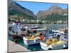 Fishing Boats in the Harbour, Plakias, Crete, Greece-Peter Thompson-Mounted Photographic Print