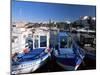 Fishing Boats in the Harbour, Sanary-Sur-Mer, Var, Cote d'Azur, Provence, France-Ruth Tomlinson-Mounted Photographic Print